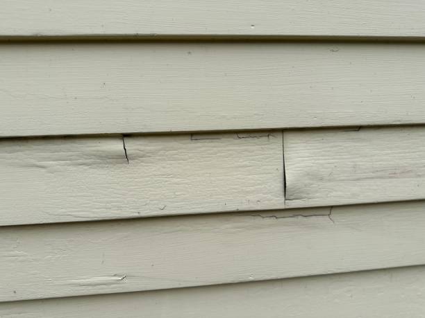 Siding for Commercial Buildings in Castalia, OH